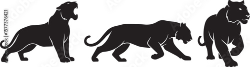 Three Black Panther Silhouettes in Different Poses