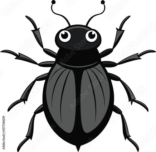 Colorado Potato Beetle Vector Illustration 