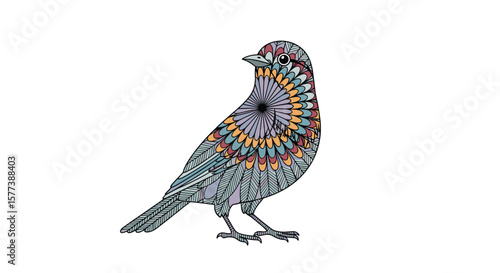 Ornate bird illustration featuring intricate circular patterns on its plumage