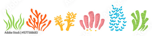 Set of cartoon corals and algae underwater elements. Ocean colorful plants. Laminaria, racy marine, anemones, corals and seaweed, marine kelp, aquarium plants vector illustration isolated on white.