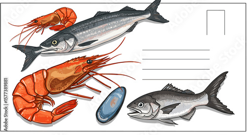 Detailed marine life postcard art featuring salmon, prawns, mussel, bass