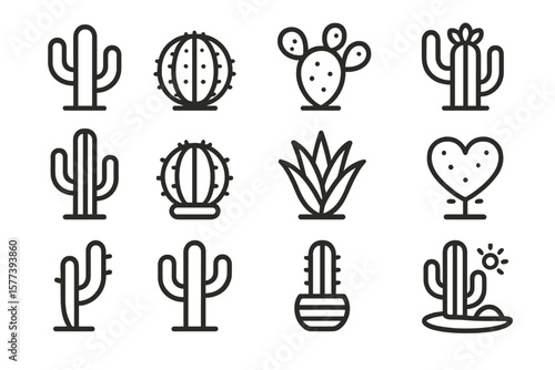 Minimalist linear cactus collection on wooden background for desert and nature design