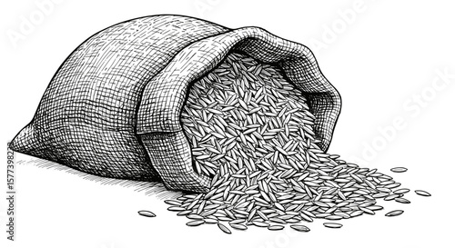 Vintage ink sketch of open rice sack with spilled rice grains - hand drawn black and white vector illustration engraving svg.