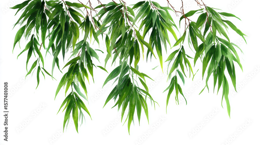 Obraz premium Bamboo Leaves, A minimalist watercolor painting of narrow, elegant green bamboo leaves hanging down on a white background, nature wallpaper. Watercolor illustration background.