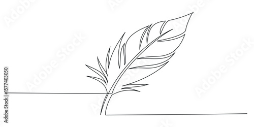 Bird feather Continuous one line drawing - Single line vector illustration