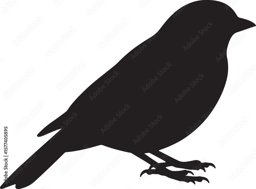 Fototapeta premium Silhouette of a perched bird against a white background suitable for diverse design applications