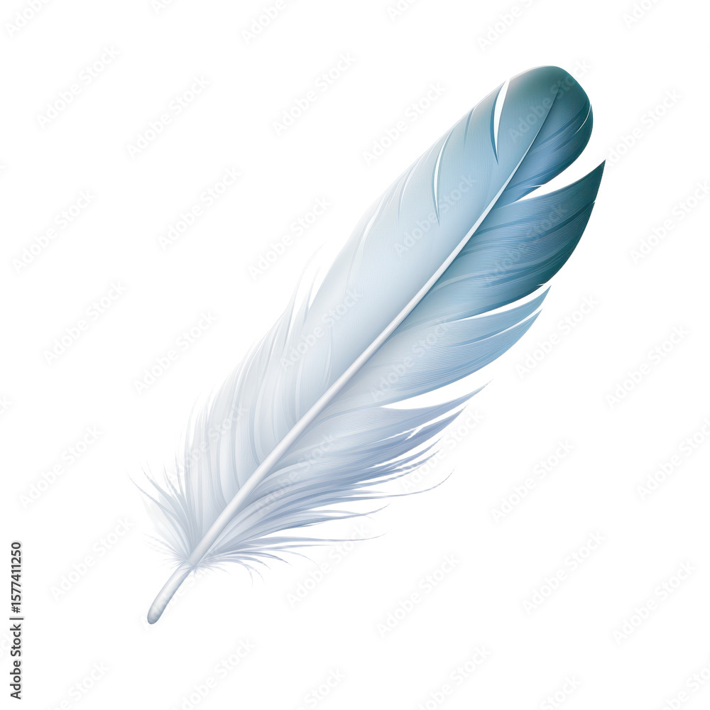 Fototapeta premium white Feather isolated on transparent background.