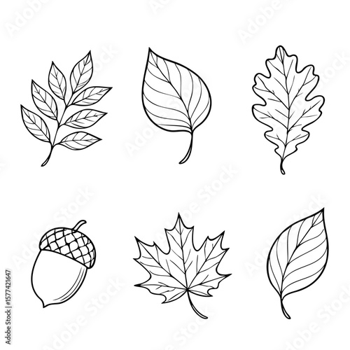 Blätter Herbstblätter Ausmalbilder 