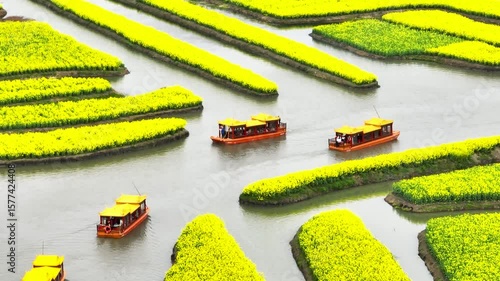 Wallpaper Mural Explore the stunning waterways of Xinghua with a boat tour through vibrant yellow flower fields Torontodigital.ca