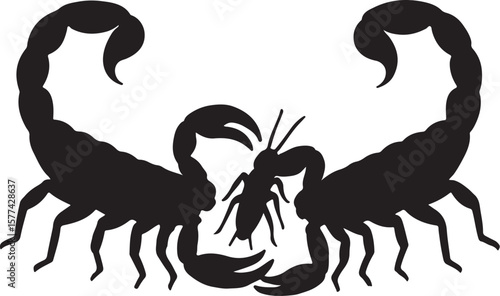 scorpions vector art  বিচ্ছু