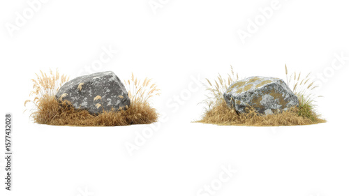 Fototapeta Naklejka Na Ścianę i Meble -  dry stones and grass png