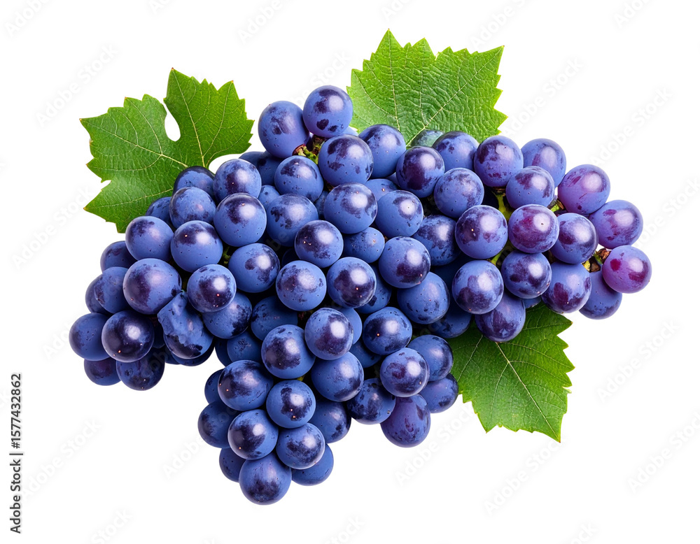 Fototapeta premium Fresh Purple Grapes with Green Leaves on Transparent Background