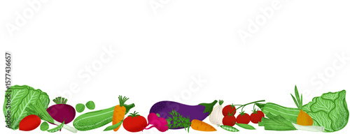 Vegetables horizontal border with lettuce, carrot, tomato, beet, onion, and more. Perfect for healthy food designs and eco themes
