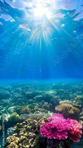 Vibrant coral reef illuminated by sunbeams in a crystal-clear underwater scene, showcasing ocean beauty