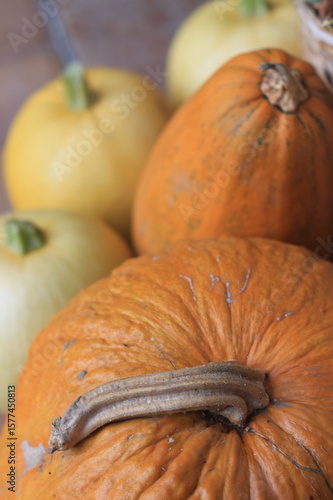 autumn still life with pumpkins
