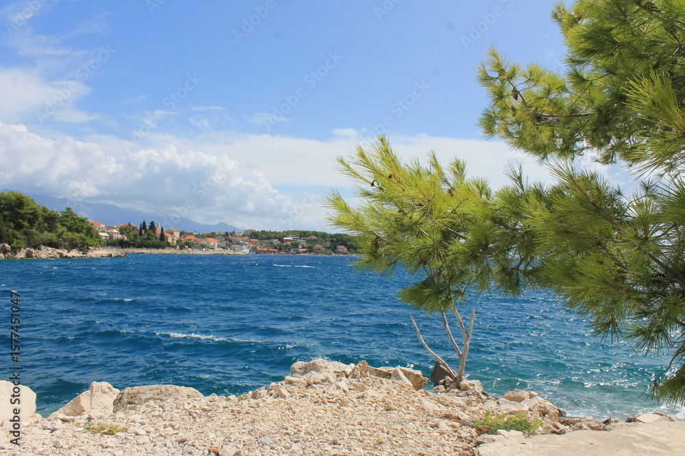 Fototapeta premium coast of the sea