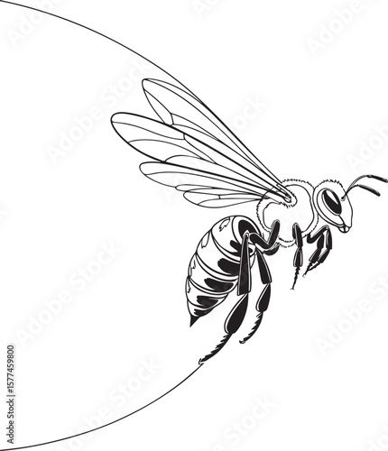 Elegant Black and White Line Art Illustration of a Honeybee in Flight