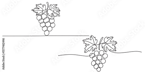 black Line Art Grape Bunches with Leaves, Grapes in continuous ONE line art drawing style silhouettes vector