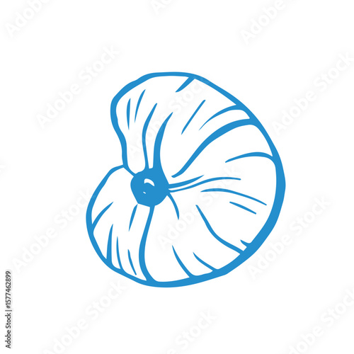 Marine whimsical hand drawn seashell in blue color on the white background
