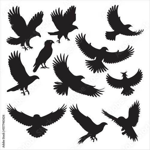 set of black various bird silhouette for graphic resources