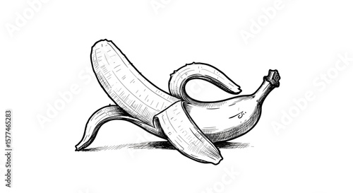 Vintage ink sketch of a half-peeled banana lying down - hand drawn black and white vector illustration engraving svg