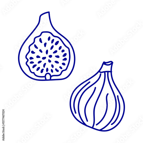 Fruits with detailed illustration showcasing whole and halved fig against a white background