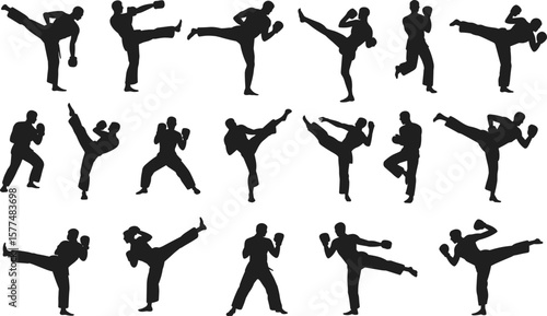 Martial arts silhouette set, kickboxing and karate poses, fighting stance vector collection, combat sport clipart, isolated black figures, action training icons