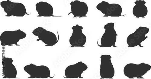 Guinea pig silhouette bundle, black rodent clipart collection, cute pet animal shapes, isolated vector graphics set, white background cartoon style image