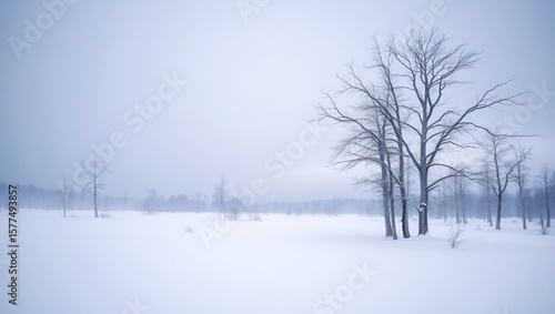 Wallpaper Mural Bare winter trees stand alone in a misty, snow-covered field. Torontodigital.ca