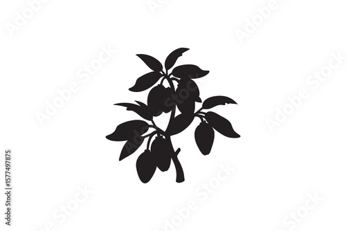 Elegant Black Silhouette of a Plum Tree Branch with Ripe Plums and Leaves Against a White Background Creating a Striking Contrast silhouette
