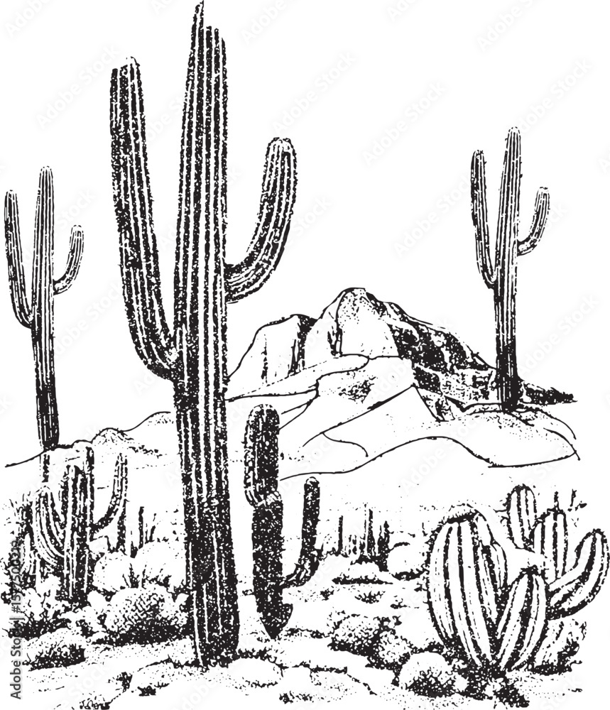 custom made wallpaper toronto digitalDesert Landscape with Cacti and Mountains in Black and White