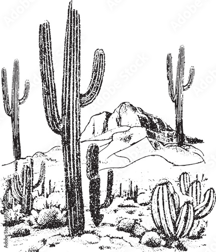 Desert Landscape with Cacti and Mountains in Black and White