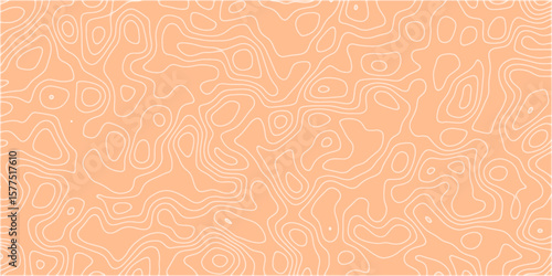 A Mindful Terrain Rendered in Loops and Waves

