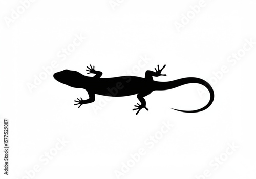 Black silhouette of a lizard with its tail curled on a white background