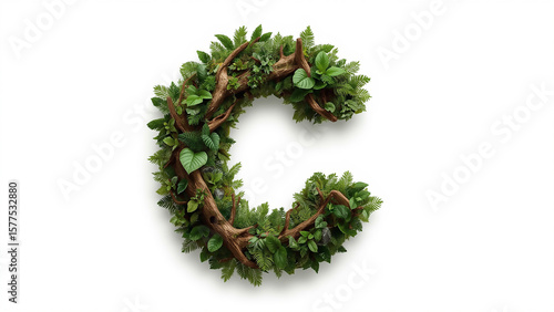 Christmas wreath on white background
