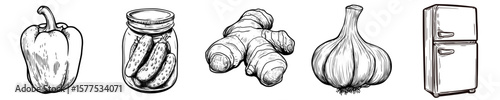 Illustration of vegetables: bell pepper, ginger, garlic, and fridge, vector icons in sketch style food and drinks
