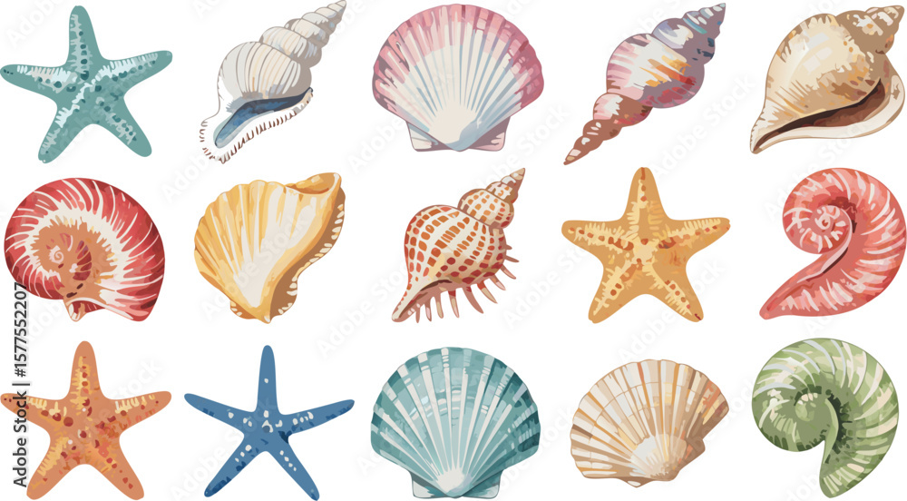 Watercolor Starfish and Seashells Collection Summer Beach Marine Life, Ocean Inspired Illustration on White Watercolor Starfish and Seashells Collection Summer Beach Marine Life, Ocean Inspired Illustration on White