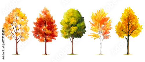 Beautiful autumn trees showcase vibrant seasonal colors against a striking black backdrop creating a scenic nature display, transparent background