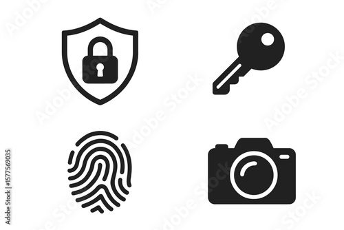 Security and access symbols: lock, key, fingerprint, camera icons