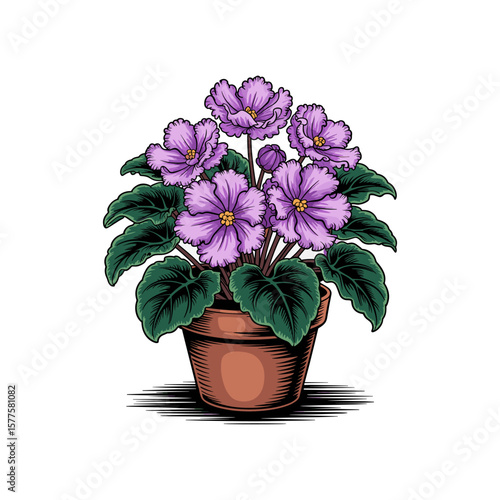 Serene Violet Blossom: A meticulously rendered illustration showcases a charming violet blossom plant, its lush purple flowers and green foliage blooming gracefully within an earthen pot.