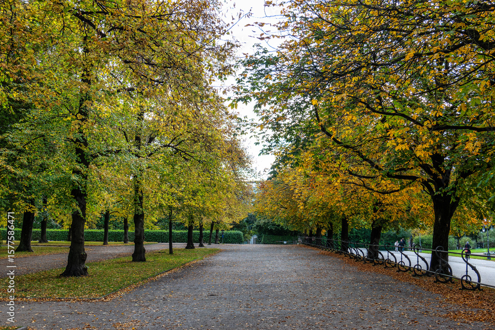Fototapeta premium Walking in Hofgarten Park in Munich on an autumn day, Germany