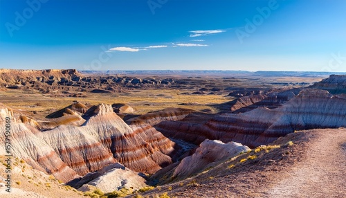 badlands along blue mesa trail in petrified forest national park in arizona