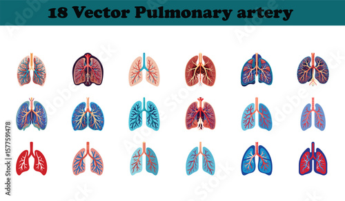 Vector illustrations of human lungs showing pulmonary artery anatomy in various colors and styles