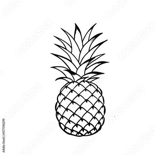 A pineapple on white background