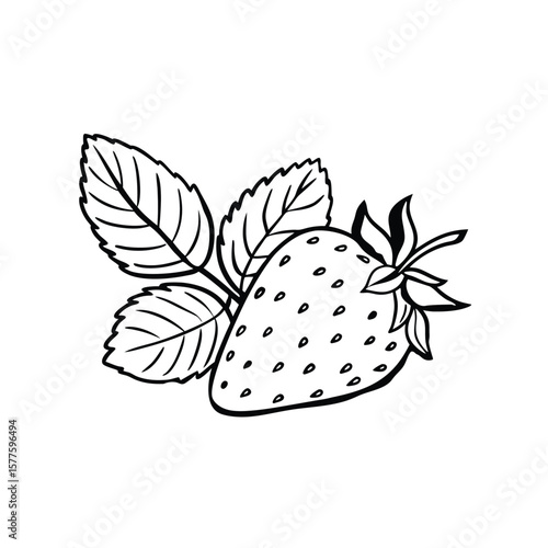  A Strawberry on white background