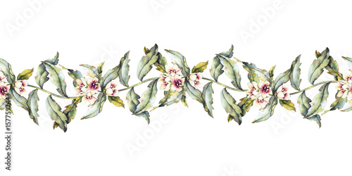 Tableau sur toile Seamless watercolor border with henbane plant featuring green leaves and flowers with purple in botanical style