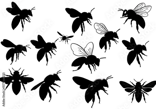 黒蜜の羽音：シルエット蜂群集