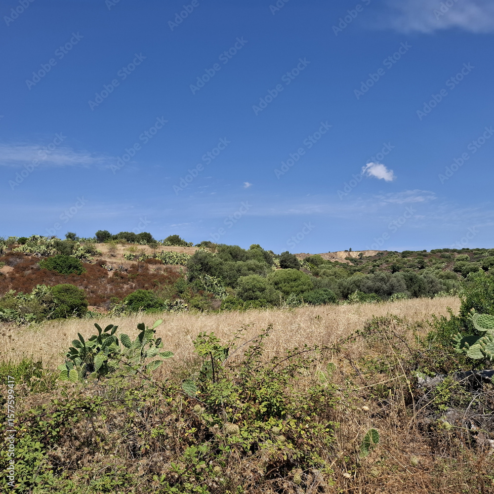 Natura Natura