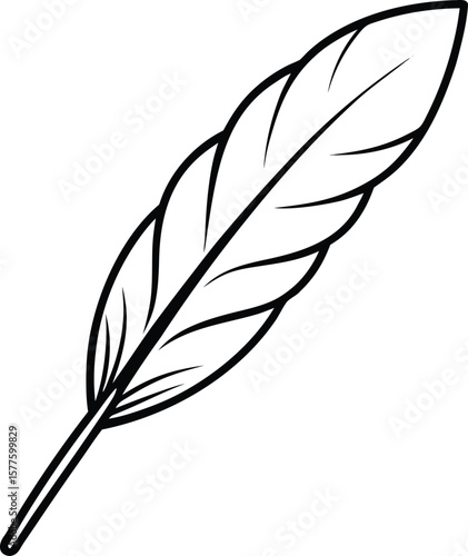 Single turkey feather line art vector illustration