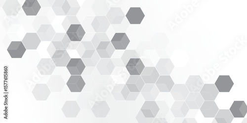 A subtle hexagon pattern background with interconnected shapes in soft gray and white. Simple abstract modern background White geometric hexagonal honeycomb shape texture background 3d copy space.	